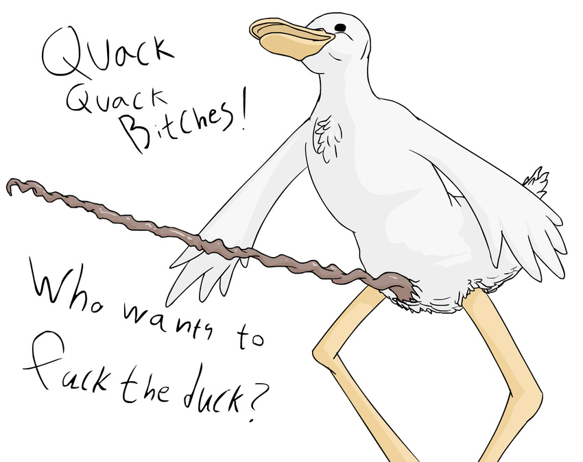 anatomically_correct animal_genitalia anthro avian bill bird constipated_satan corkscrew_penis duck duck_penis feathers male penis plain_background solo text white_background words