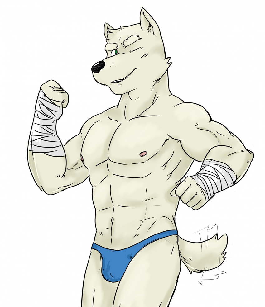 anthro canine clothing dog male mammal muscles mysterymanbob one_eye_closed solo underwear wink