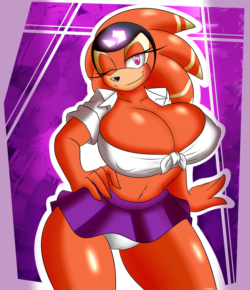 2015 anthro big_breasts breasts cleavage clothed clothing echidna female huge_breasts looking_at_viewer mammal monotreme navel one_eye_closed panties sega shade_the_echidna skimpy smile solo sonic_(series) supersonicrulaa underwear wink