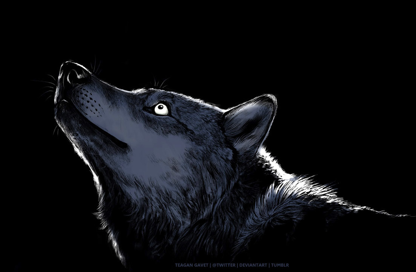 2015 ambiguous_gender black_and_white black_background blackteagan canine feral mammal monochrome plain_background solo wolf
