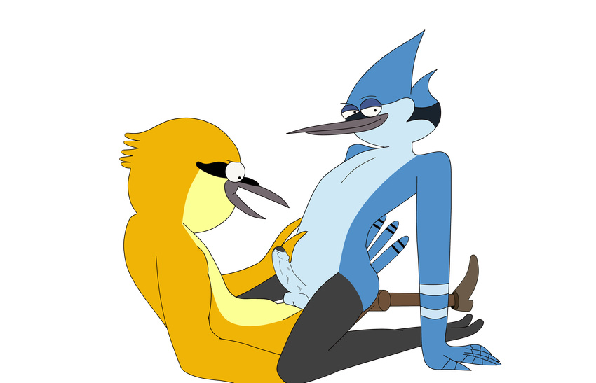 absurd_res anal anal_penetration anthro avian balls beak bird black_penis blue_jay cartoon_network cowgirl_position duo erection feathers gay hi_res internal interspecies john_(regular_show) lifeseeker looking_at_viewer male mordecai_(regular_show) on_top open_mouth oriole penetration penis prosthetic_leg regular_show sex straddling toony uncut wooden_leg