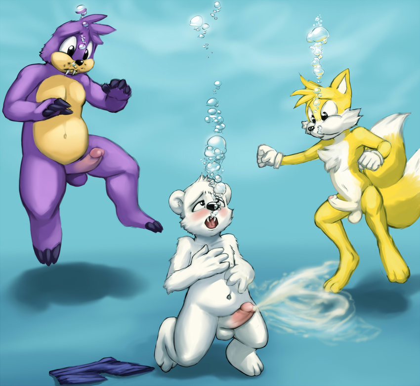 air_bubble anthro asphyxiation bear black_nose byondrage canine chest_tuft cum cum_in_water cumshot drowning erection fox fur group male mammal miles_prower nude orgasm penis polar_bear purple_fur rotor_the_walrus sega sonic_(series) tuft uncut underwater walrus water yellow_fur young