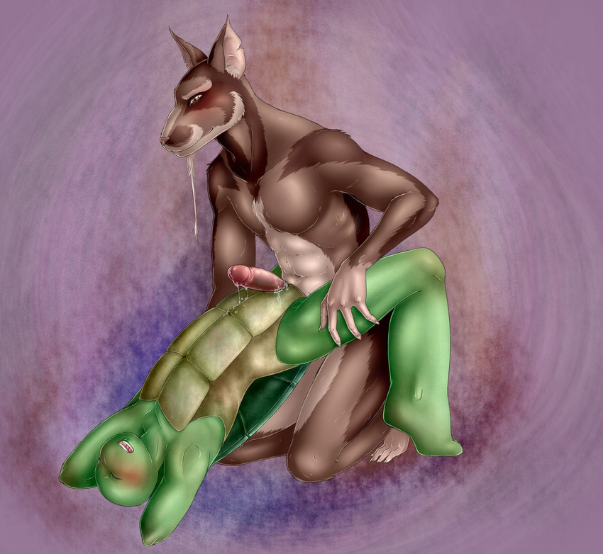 abs anal anal_penetration anthro arms_behind_head beard blush brown_eyes brown_fur claws cum cum_while_penetrated duo erection eyes_closed facial_hair father father_and_son fur gay goatee green_skin hair holding humanoid_penis incest interspecies kneeling leonardo_(tmnt) male mammal muscles mutant nude open_mouth orgasm parent pecs penetration penis pink_nose rat reptile rodent scales scalie semi_incest sex son source_request splinter teenage_mutant_ninja_turtles teeth toe_claws tongue turtle unknown_artist white_fur