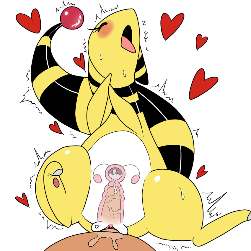 2014 ampharos blush butt cum cum_in_pussy cum_inside duo erection eyes_closed female female_orgasm feral happy happy_sex human interspecies lying male mammal nintendo nude open_mouth orgasm penetration penis plain_background pok&eacute;mon pussy sex solo_focus spread_legs spreading straight sweat tongue vaginal vaginal_penetration video_games ɯ(_&ndash;_&ndash;_)ɯ