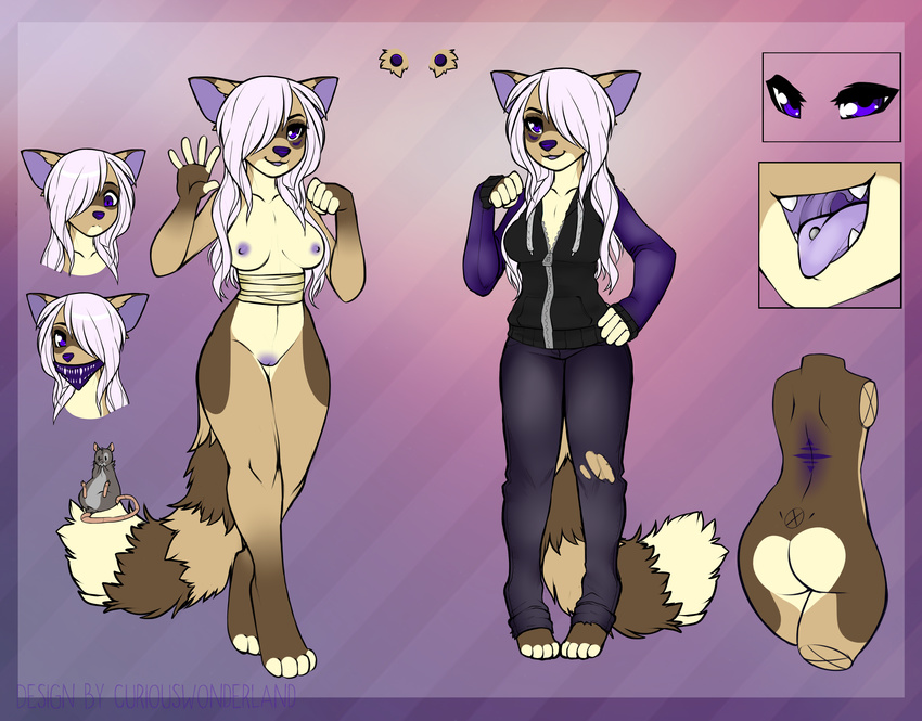 anthro back barefoot breasts brown_fur clothed clothing fangs female fur hair hoodie jeans long_hair mammal model_sheet morgan nipples nude pink_hair purple_eyes pussy raccoon shadowfox89666 solo standing tongue tongue_out torn_clothing