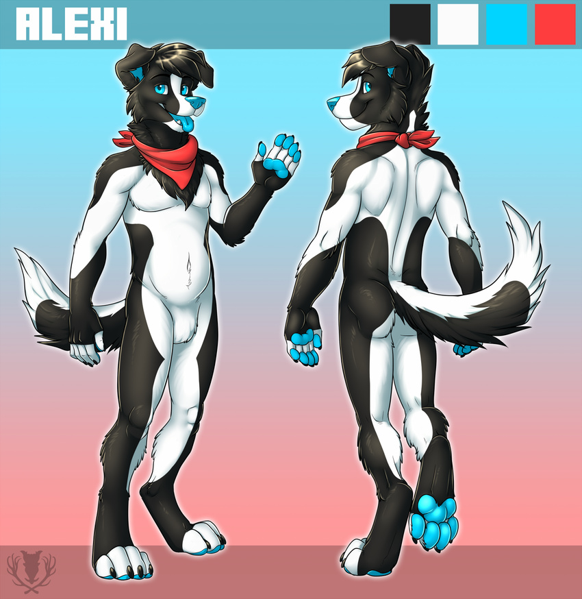2014 alexicivitas anthro border_collie butt canine dog fur hair looking_at_viewer male mammal model_sheet nude open_mouth paws pose scarf smile solo tongue tongue_out vallhund