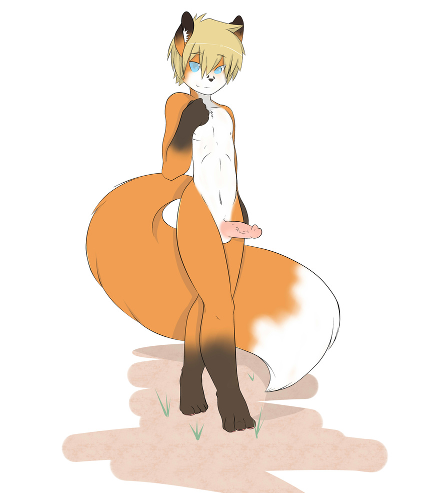 anthro balls blonde_hair blue_eyes canine erection fox fur girly grass hair looking_at_viewer male mammal orange_fur penis smile softcream solo standing tycloud