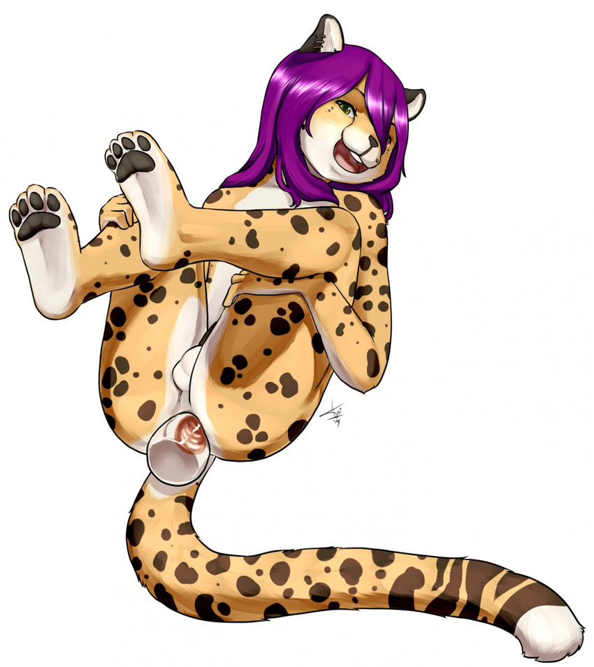 2014 akimoriaoi anal anal_masturbation anus aogami balls cat cheetah dildo feline girly hair loki looking_at_viewer male mammal masturbation nude open_mouth paws penis plain_background purple_hair reizo sex_toy soles solo spots toes white_background young