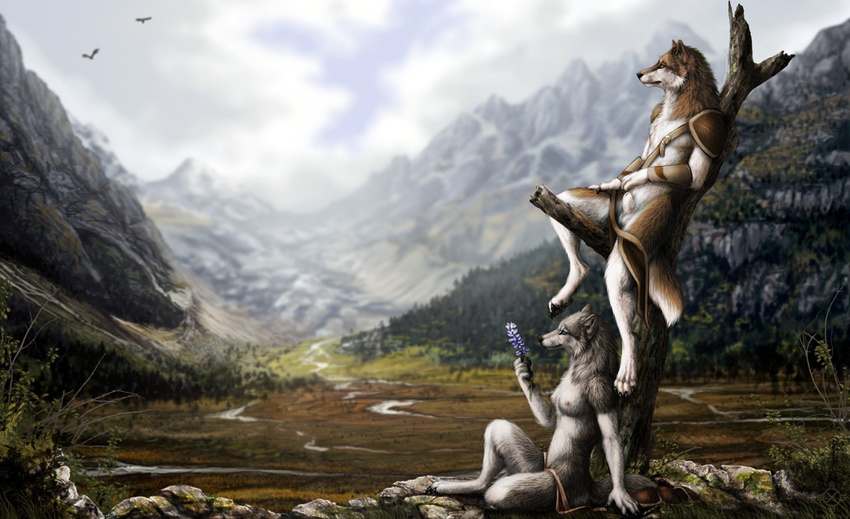 2014 anthro balls canine cloud darkicewolf duo female feral fur grass landscape male mammal mountain nature nipples nude outside penis sitting sky smile standing tree valley wings wolf