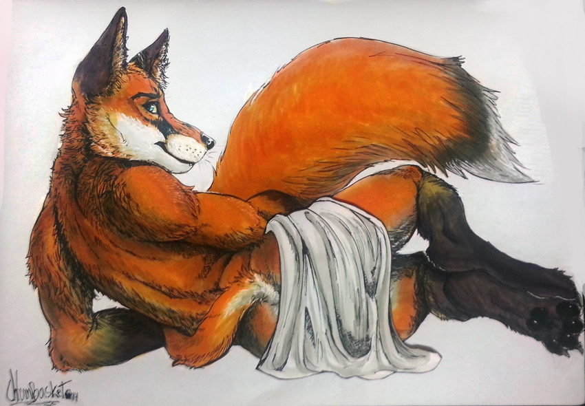 anthro back black_nose blanket blue_eyes canine chumbasket claws fox fur gloves_(marking) looking_at_viewer looking_back lying male mammal markings nude on_side orange_fur pawpads paws pose rear_view socks_(marking) solo toe_claws whiskers