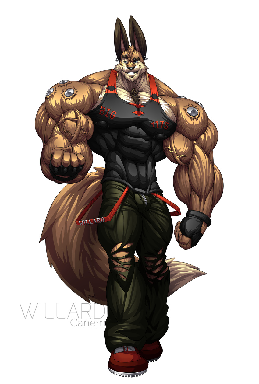 abs anthro bandage biceps big_muscles bulge canem canine clothing ear_piercing fur gloves hyper hyper_muscles lagomorph looking_at_viewer male mammal metal muscles pants pecs piercing rabbit ripped shirt shoes smile solo toned vein willard wolf wolfie wolfiecanem