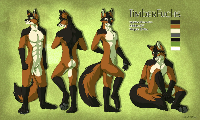 2014 abs anthro back black_nose brown_fox brown_fur butt canine claws cream_fur featureless_crotch fox fur gloves_(marking) green_eyes looking_at_viewer male mammal markings model_sheet muscles nude one_leg_up pawpads paws pecs plantigrade silvixen sitting smile socks_(marking) solo standing tan_fur timberfuchs toe_claws whiskers white_fur