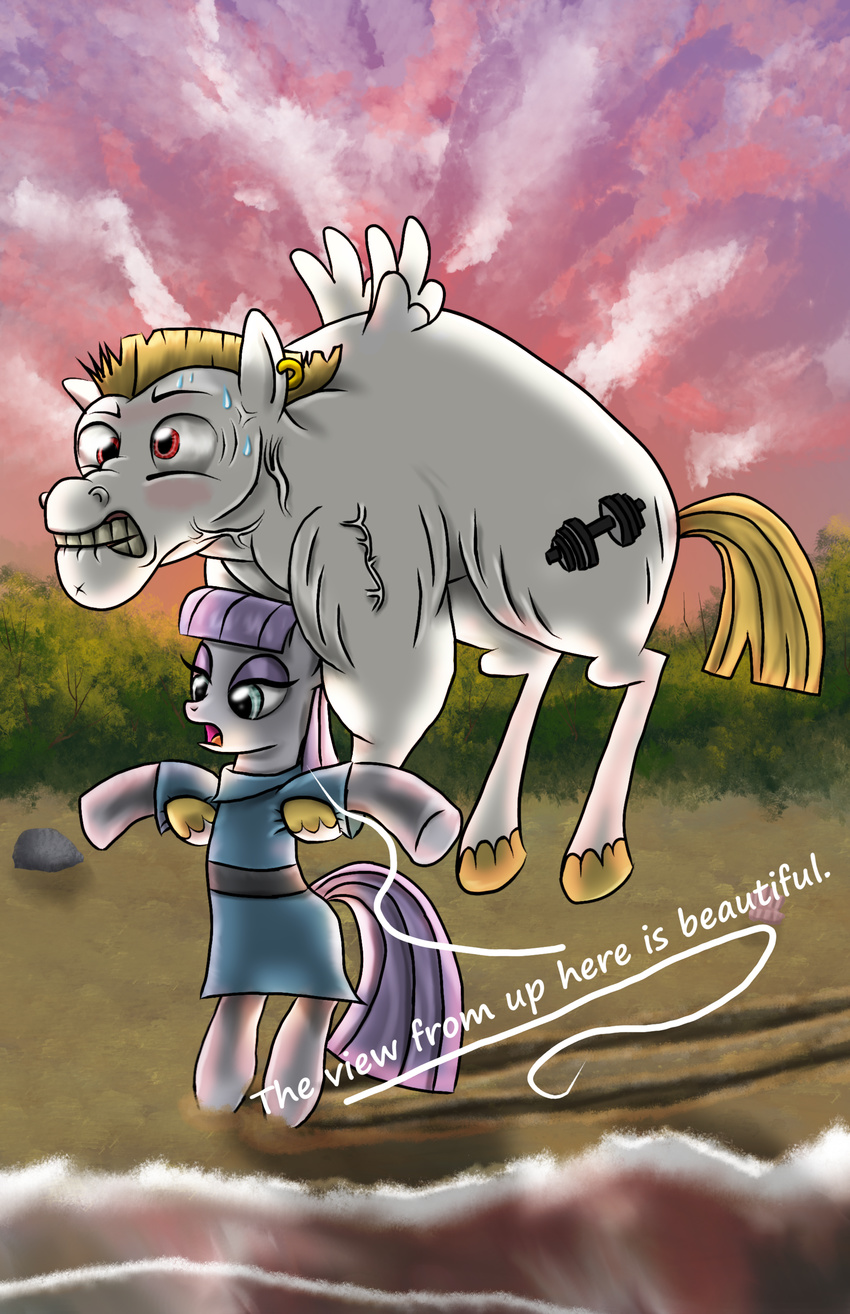 2014 bulk_biceps_(mlp) earth_pony english_text equine evil-dec0y female feral flying friendship_is_magic horse male mammal maud_pie_(mlp) my_little_pony outside pegasus pony text wings