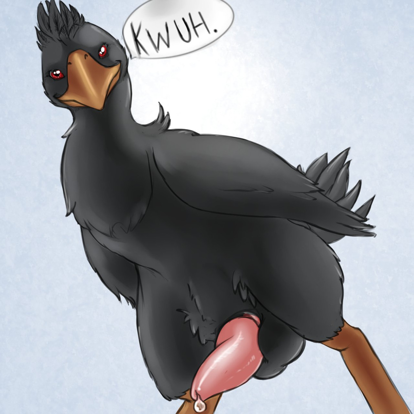 2013 animal_genitalia avian balls beak bipedal bird chocobo cum erection feathered_wings feathers feral final_fantasy genital_slit looking_at_viewer looking_down low-angle_shot male outside penis precum red_eyes simple_background slit smile solo tail_feathers tapering_penis text thick_penis tieldraggy video_games wings