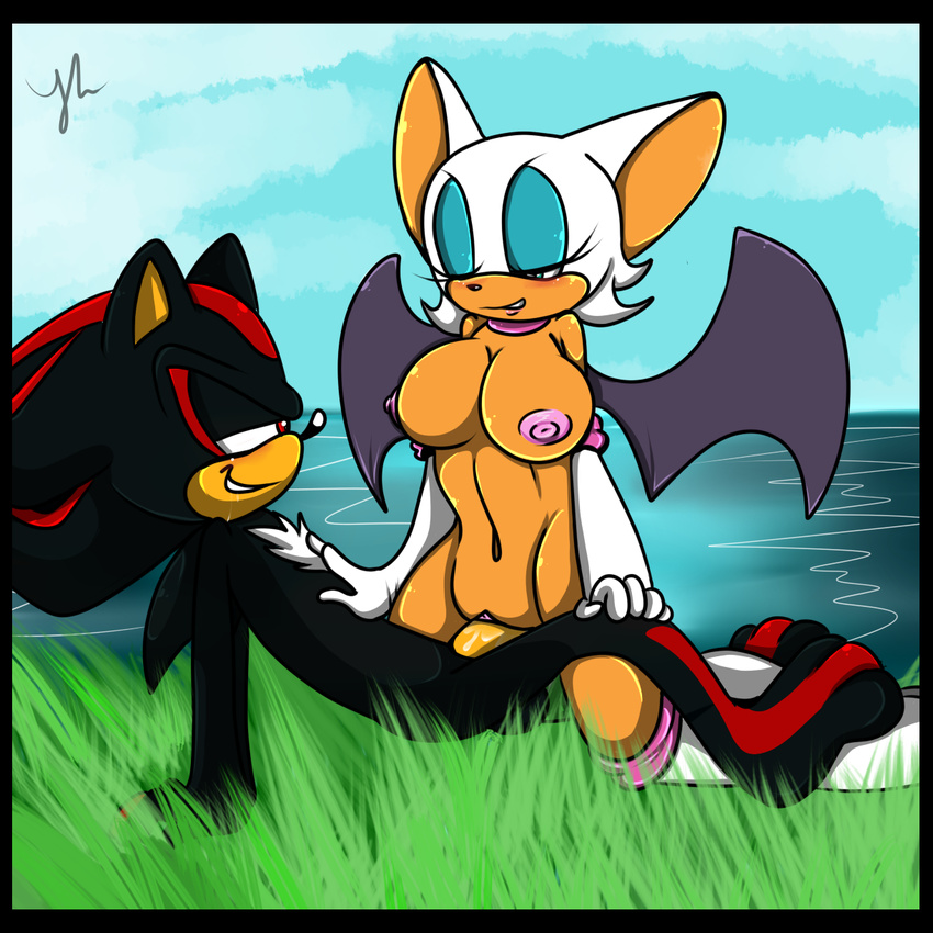 anthro bat big_breasts blush boots breasts cleavage clothed clothing cloud duo female gloves grass hedgehog male mammal mostly_nude nipples nude outside penetration penis rouge_the_bat seaside sega shadow_the_hedgehog sky smile sonic_(series) straight vaginal vaginal_penetration wings yellowlucarios