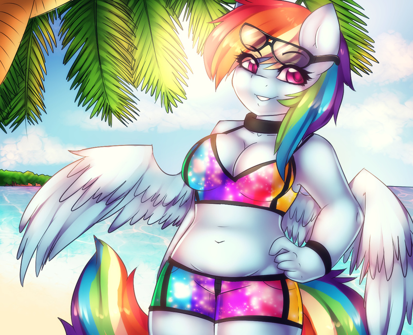 2015 anthro beach blue_fur cleavage clothed clothing equine eyewear female friendship_is_magic fur hair hand_on_hip mammal mixipony multicolored_hair my_little_pony navel outside pegasus purple_eyes rainbow_dash_(mlp) rainbow_hair seaside smile solo water wings