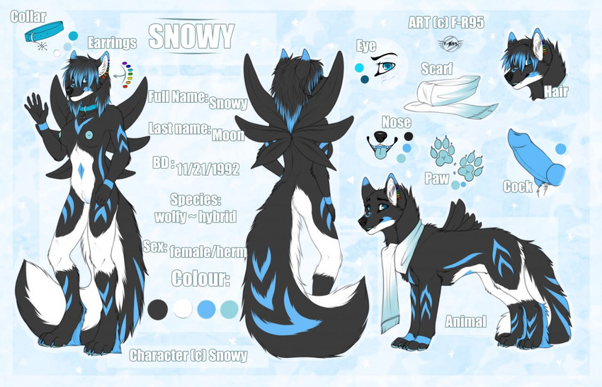 canine female here mammal model_sheet snowy wolf yuki-the-fox