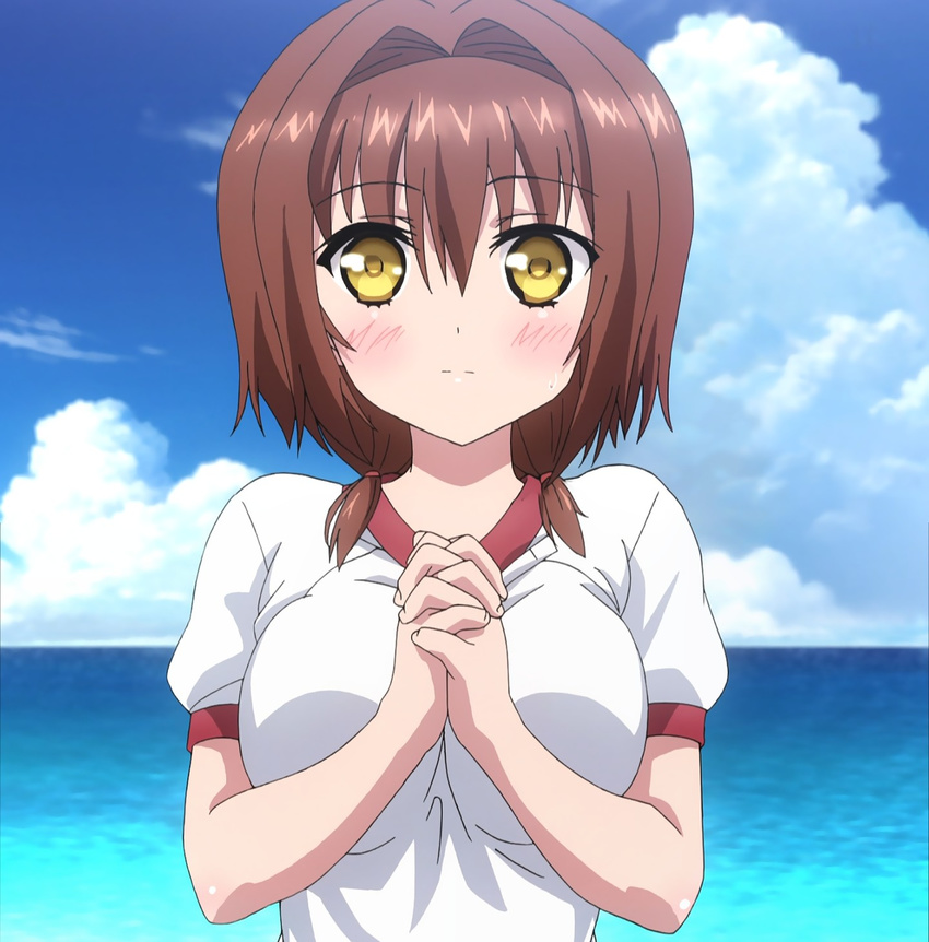 1girl absolute_duo blush breasts brown_hair bust cloud female gym_uniform hotaka_miyabi large_breasts looking_at_viewer ocean screencap short_hair sky solo upper_body yellow_eyes