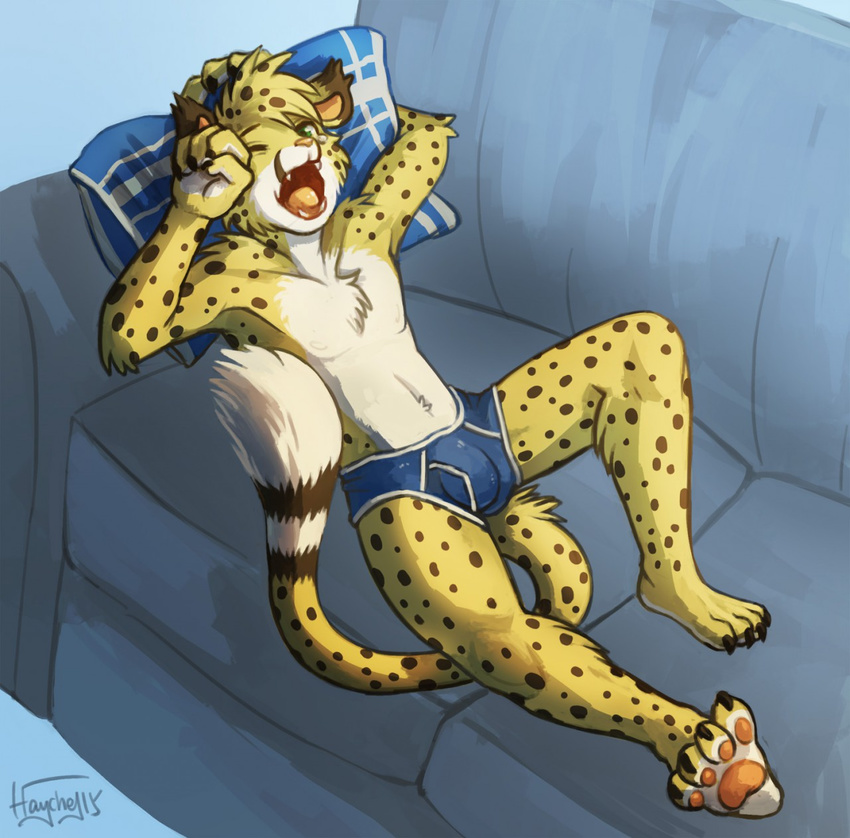 anthro bulge cheetah clothing feline haychel male mammal salmy sofa solo underwear