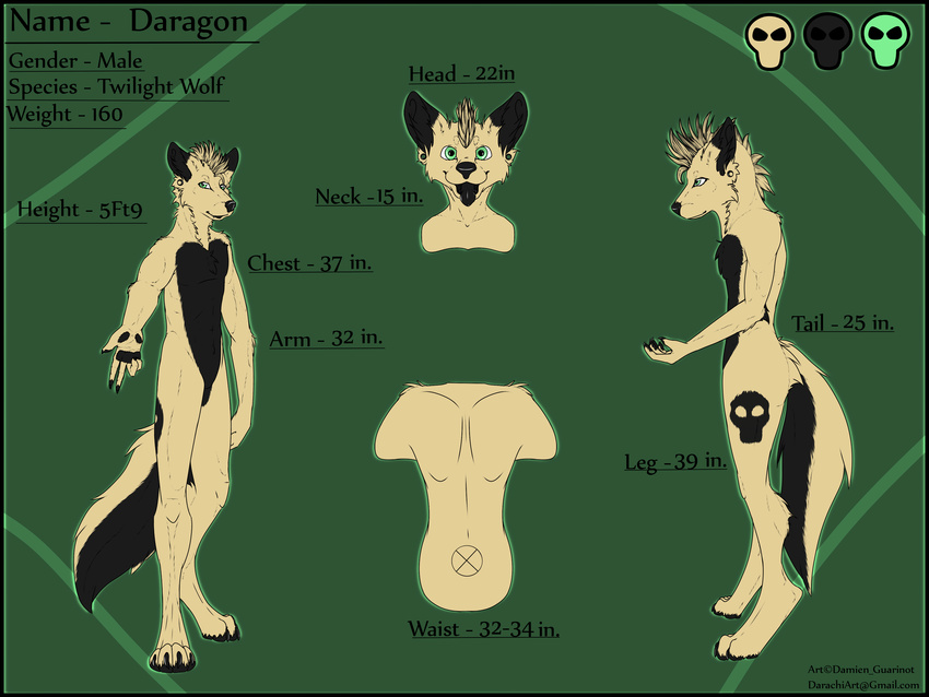 back canine darachi daragon foot_paws front_view hand_paws head_shot looking_at_viewer male mammal model_sheet side_view skull smile specifications standing tongue twilight_wolf wolf