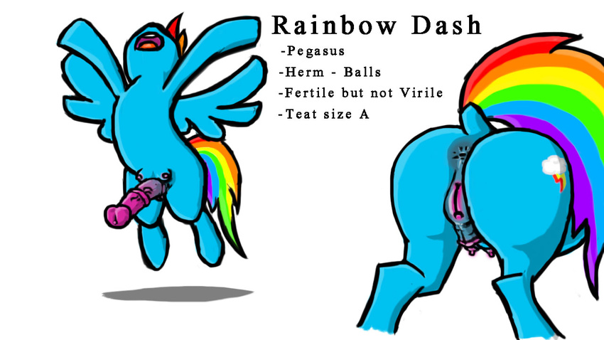 anus blue_fur butt equine friendship_is_magic fur furpics hair herm intersex mammal multicolored_hair my_little_pony pegasus penis pussy rainbow_dash_(mlp) teats wings