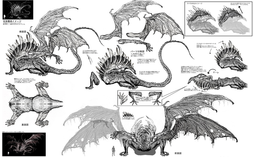 absurd_res dark_souls dragon gaping_dragon hi_res japanese_text model_sheet monochrome official_art solo teeth text video_games wings