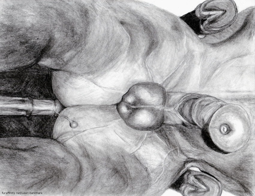 anal anal_penetration anatomically_correct anatomically_correct_penis animal_genitalia balls darkmare duo equine feral feral_on_feral flared_penis greyscale half-erect hooves horse horsecock low-angle_shot male male/male mammal monochrome pencil_(artwork) penetration penis penis_towards_viewer photorealism precum solo traditional_media_(artwork) underhoof worm's-eye_view