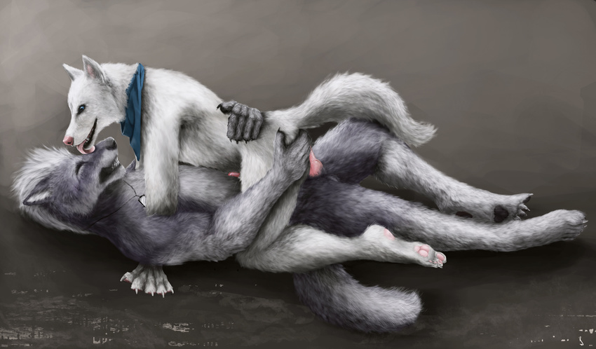anal anthro balls bandanna butt canine couple gay_wolves gaysex licking licks love lupain lupains male male/male mammal neckerchief penis plantigrade plantigrade_feet sex tongue tongue_out warpaws_(artist) white_wolf wolf yiffing