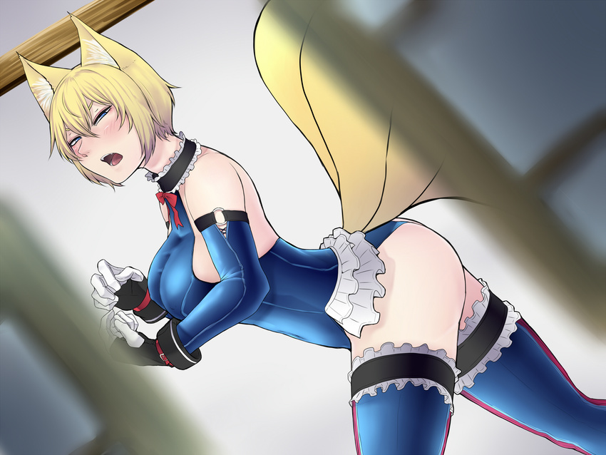 angry animal_ears bare_shoulders blonde_hair blue_eyes blue_leotard blush choker cosplay dead_or_alive dutch_angle elbow_gloves fangs fox_ears fox_tail frilled_legwear gloves highres kitsune leotard looking_at_viewer marie_rose marie_rose_(cosplay) multiple_tails nicutoka open_mouth peeping pov_doorway ribbon short_hair solo sweatdrop tail thighhighs touhou walk-in yakumo_ran