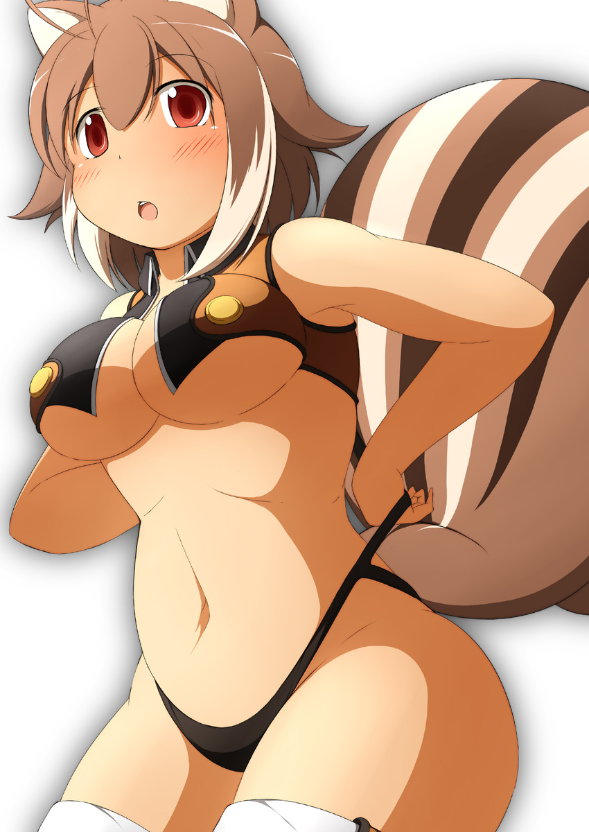 animal_ears blazblue blush breasts brown_hair highres large_breasts makoto_nanaya mirano open_mouth panties red_eyes short_hair solo squirrel_ears squirrel_tail tail underboob underwear