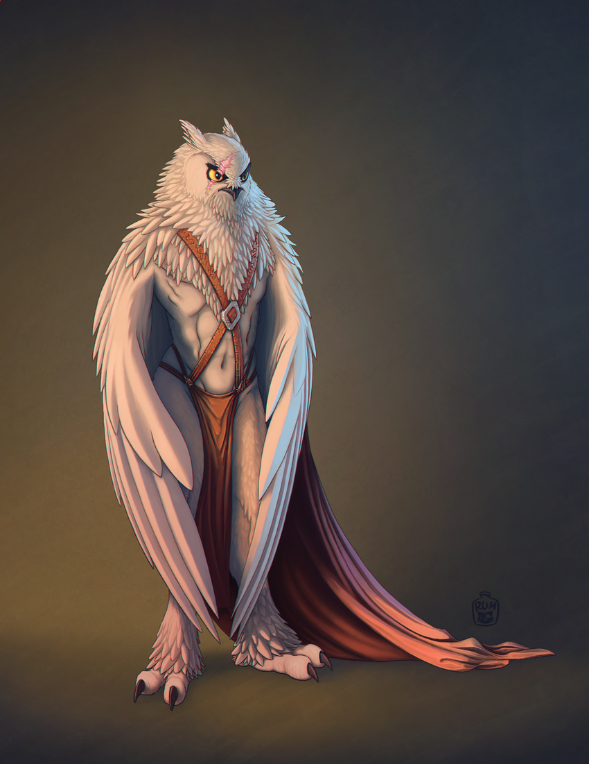2015 anthro avian beak bird clothing heroic male owl rumcat scar solo wings