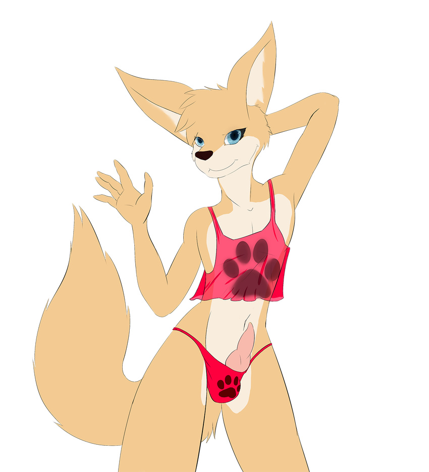 2015 ace-fox alpha_channel animal_genitalia anthro bear_(beartp) blue_eyes canine canine_penis clothing erection eyelashes fennec fox front_view fur girly male mammal panties penis plain_background poking_out shirt short_shirt smile solo tan_fur tank_top translucent transparent_background transparent_clothing underwear waving