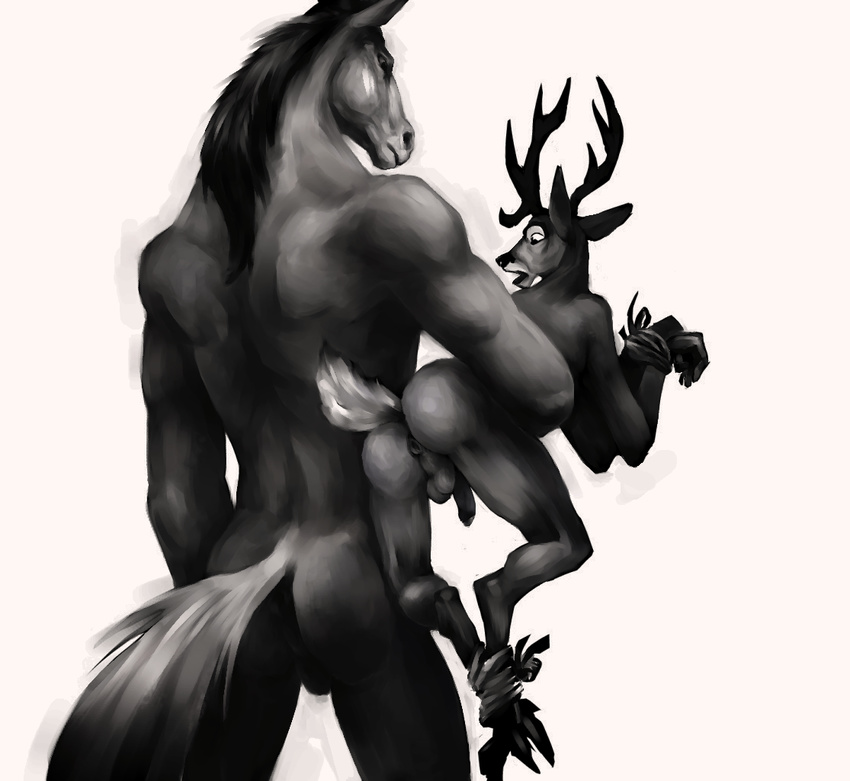 2014 anthro antlers anus backsack balls bound butt carrying cervine cloven_hooves deer duo equine hooves horn horse klongi looking_down male mammal monochrome muscles nude penis rear_view rope shocked size_difference tragelaphus