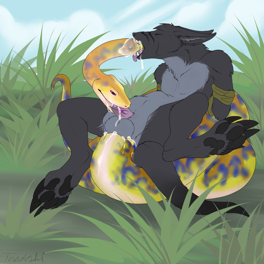 ? anthro belly_inflation bulge chocking colorful crying cum forced goo grass host kurosei looking_at_viewer male male/male nude pain parasite reptile scalie snake snake_impalement sovy tears toradoshi unwilling