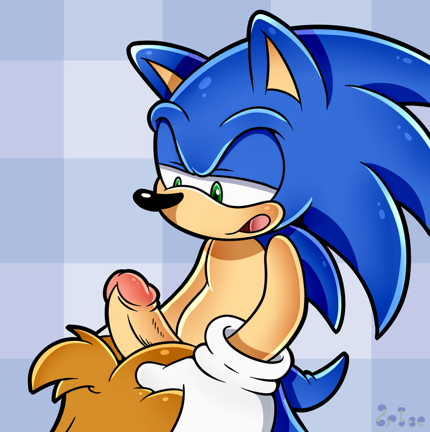 2015 anthro butt duo erection female fur green_eyes hedgehog hi_res hot_dogging male mammal nude open_mouth penis sally_acorn sonic_(series) sonic_the_hedgehog spice5400 video_games