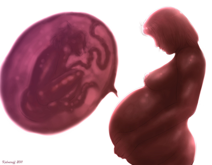 2011 anthro areola breasts dragon duo female hair hand_on_belly horn human internal interspecies kalnareff kalnareff_(character) male mammal nipples nude plain_background pregnant scalie side_view size_difference umbilical_cord unbirthing uterus vore white_background