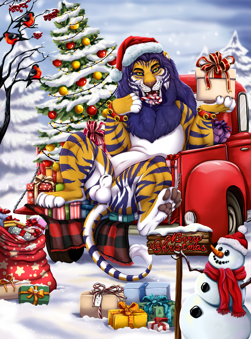 absurd_res ball balls bethesda_softworks car christmas christmas_tree felid feral fur furniture genitals hi_res holidays hybrid khajiit kovu_muabdib liger male mammal nude outside pantherine plant sky snow snowman solo the_elder_scrolls tiger tree vehicle xtreme3246