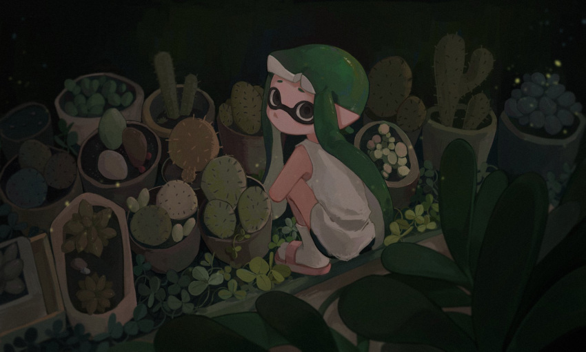1girl black_background black_eyes black_shorts blunt_bangs cactus clover domino_mask film_grain from_above from_behind green_hair highres inkling inkling_girl liang_cun_rakuna looking_at_viewer looking_back mask no_mouth plant pointy_ears potted_plant raised_eyebrows sandals short_hair_with_long_locks short_shorts shorts slav_squatting socks solo splatoon_(series) squatting tank_top tentacle_hair white_socks white_tank_top wide_shot