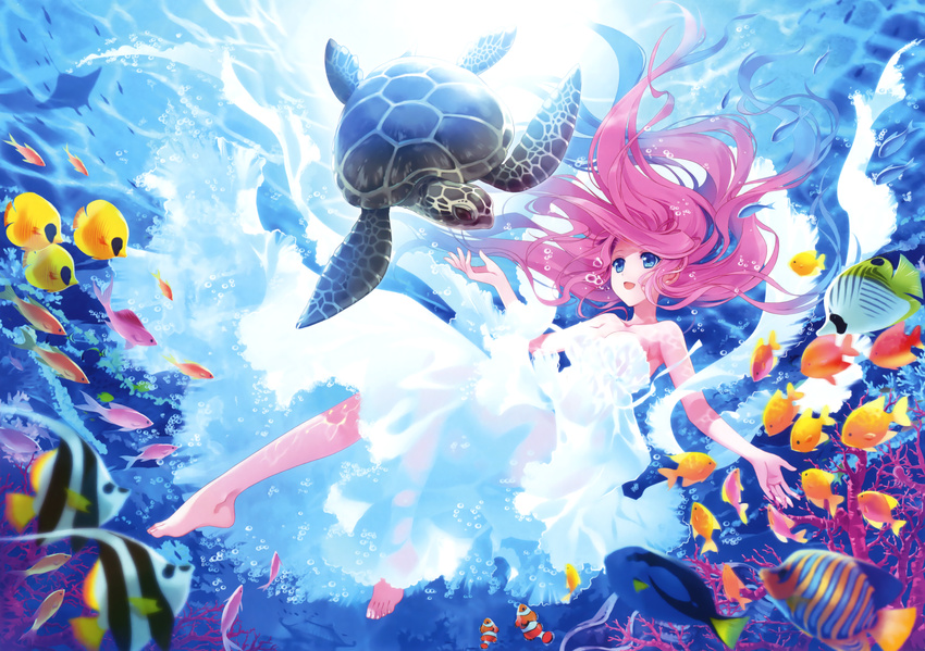 :d absurdres air_bubble angelfish bare_arms bare_shoulders barefoot blue_eyes breasts breath bubble butterflyfish carnelian copyright_request coral damselfish dress fish floating_hair freediving full_body gown highres holding_breath long_hair looking_at_another medium_breasts ocean open_mouth pink_hair sea_turtle smile solo stingray strapless strapless_dress sunlight surgeonfish swimming tropical_fish turtle underwater white_dress