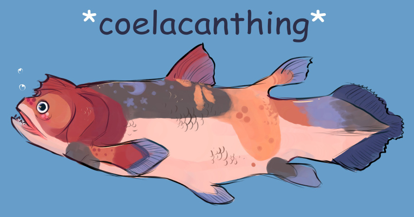2023 absurd_res alternate_species ambiguous_gender blue_background blue_fins blue_markings blush brown_body brown_scales bubble coelacanth colored_sketch comic_sans digital_drawing_(artwork) digital_media_(artwork) dorsal_fin english_text feral fin fish full-length_portrait grey_body grey_scales hi_res lobe-finned_fish marine markings nonbinary_(lore) open_mouth pink_blush portrait scales shaded side_view simple_background sketch solo tail tail_fin tansy_(tansydrawsnsfw) tansydrawsnsfw teeth text trans_(lore) trans_man_(lore)