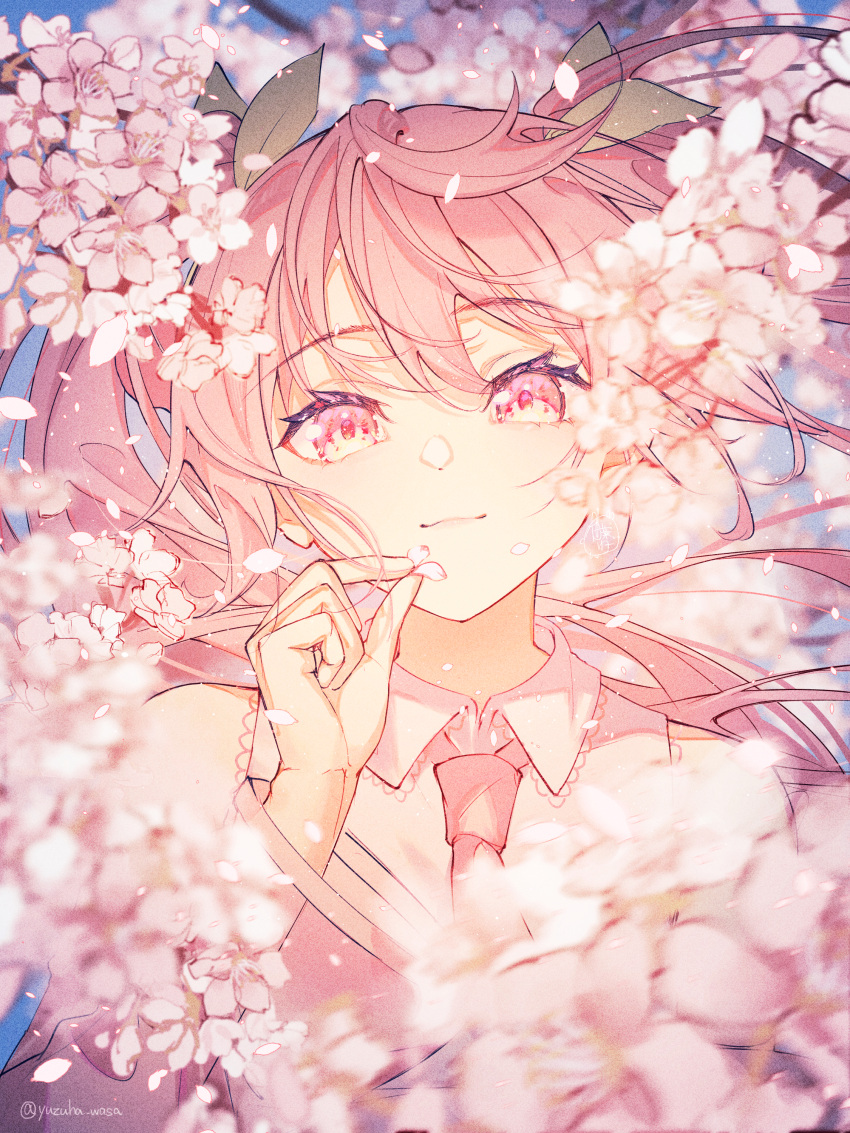 1girl absurdres cherry_blossoms closed_mouth collared_shirt commentary_request falling_petals hair_ornament hatsune_miku highres holding holding_petal leaf_hair_ornament looking_at_viewer necktie petals pink_eyes pink_hair pink_necktie pink_theme sakura_miku shirt solo twintails twitter_username upper_body vocaloid yuzuha_wasa