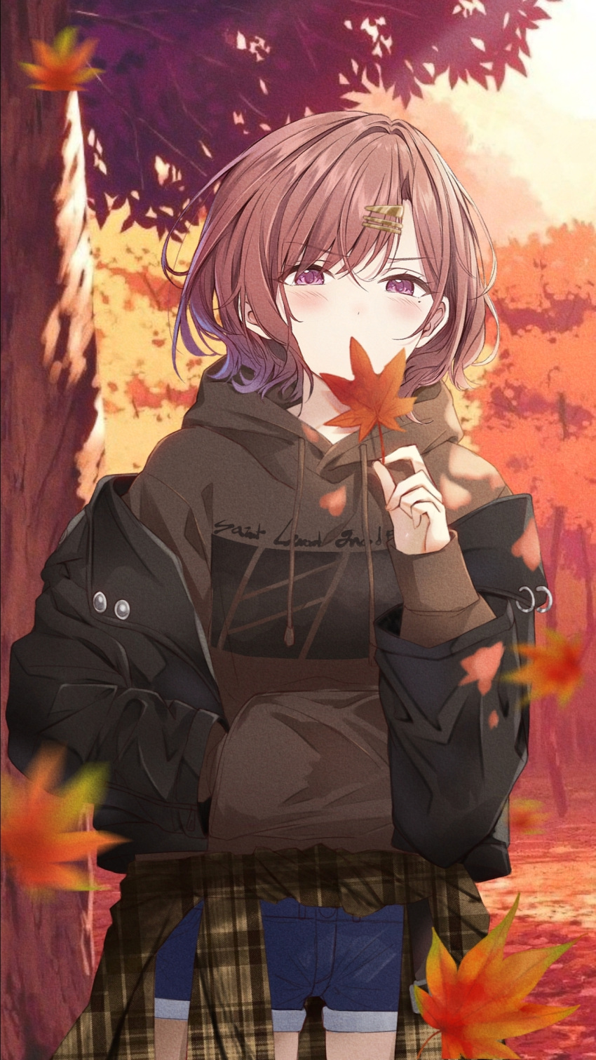 1girl autumn autumn_leaves black_jacket blue_shorts brown_hair brown_hoodie clothes_around_waist covering_own_mouth gangshangguang_(smjy5842) hair_ornament hairclip highres higuchi_madoka holding holding_leaf hood hoodie idolmaster idolmaster_shiny_colors jacket leaf long_sleeves maple_leaf pink_eyes shorts solo standing