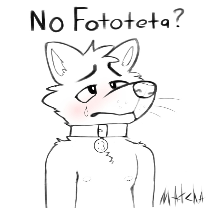 anthro bodily_fluids canid canine chromawolf collar fototeta frown fur head_tuft hi_res male mammal nipples sad signature simple_background solo tears tuft white_background