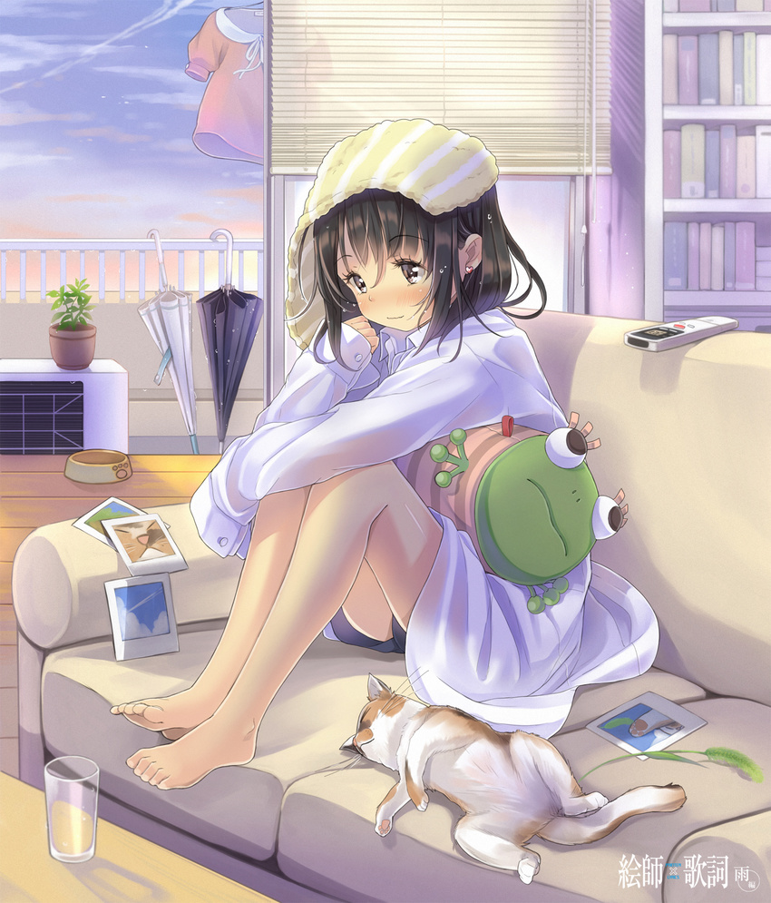 air_conditioner ataru_(ataru_squall) bangs bare_legs barefoot blinds blush bookshelf bowl brown_eyes brown_hair cat cat_teaser closed_umbrella cloud controller copyright_name couch cup dress_shirt drinking_glass earrings eshi_x_kashi_ame-hen feet_on_chair food_bowl glass heart heart_earrings highres indoors jewelry knees_up legs legs_together long_sleeves looking_away on_couch original paw_print pet_bowl photo_(object) pillow plant polaroid potted_plant remote_control shirt short_hair shorts sitting sky sleeves_past_wrists smile solo stuffed_toy sunset toes towel towel_on_head umbrella wet wet_clothes wet_hair white_shirt window wooden_floor