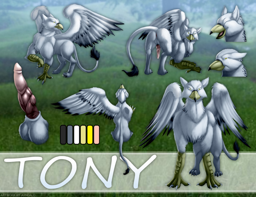 2015 angry animal_genitalia anus avian bad_dragon balls beak bird butt claws erection feathers feral fur gryphon happy juindalo knot looking_at_viewer looking_back male mammal model_sheet nude open_mouth penis presenting presenting_anus presenting_hindquarters smile solo spread_legs spreading tony white_fur wings