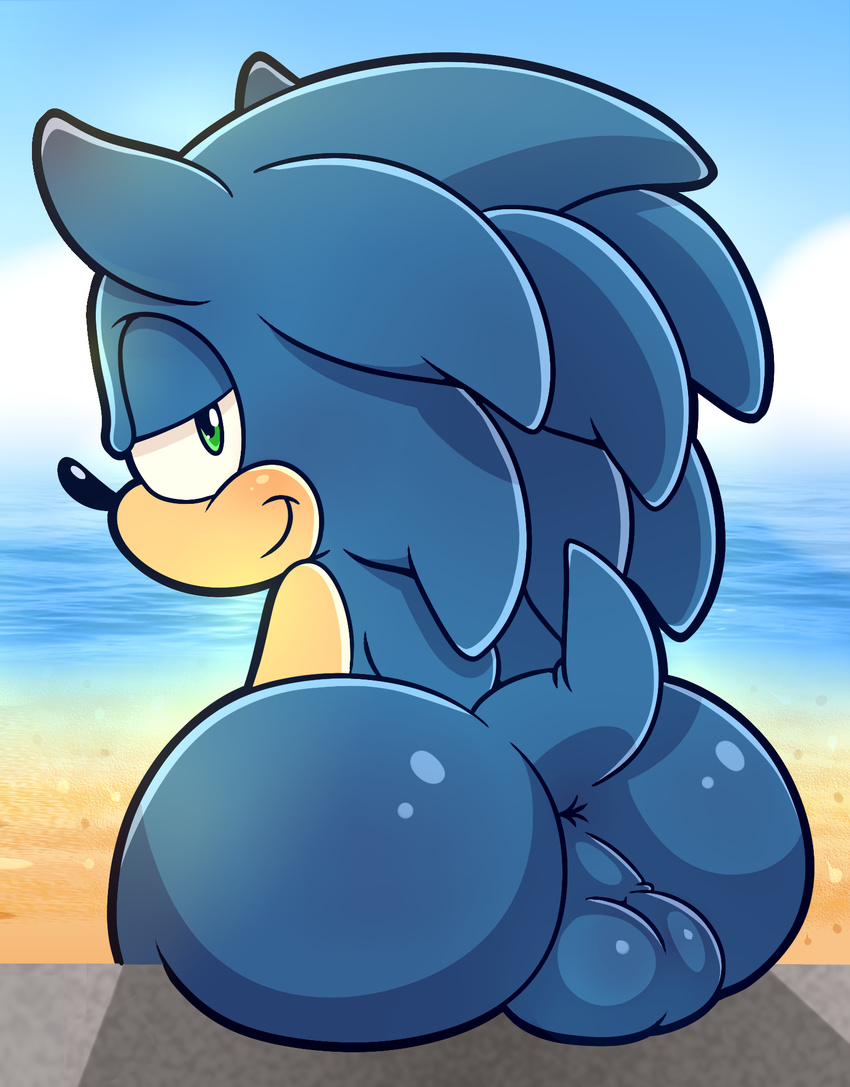 2015 anthro anus ball_sitting balls beach bedroom_eyes big_butt blush butt clothed clothing cloud fur green_eyes hair half-closed_eyes half-dressed hedgehog hi_res huge_butt male mammal nude outside presenting presenting_anus presenting_hindquarters public pussy rodent sea seaside sky smile solo sonic_(series) sonic_the_hedgehog spice5400 spreading thick_thighs video_games voluptuous water wide_hips