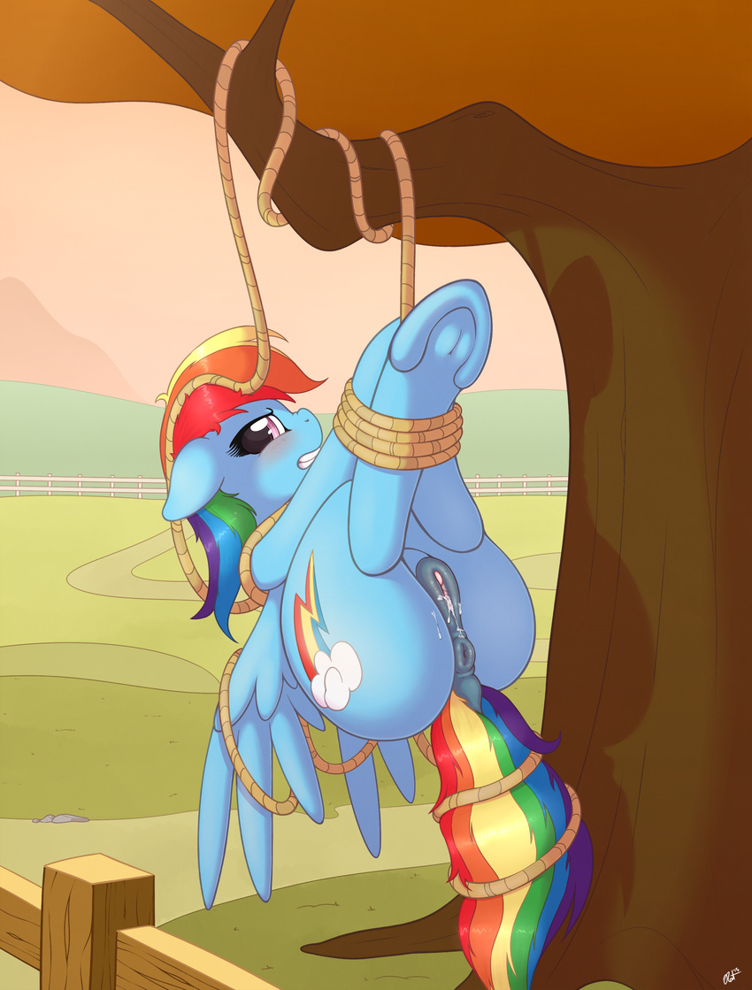 2015 absurd_res anatomically_correct anatomically_correct_pussy animal_genitalia anus blush bound cutie_mark dock equine equine_pussy female fence feral friendship_is_magic hair hi_res hooves looking_at_viewer mammal multicolored_hair my_little_pony outside pegasus pussy rainbow_dash_(mlp) rainbow_hair ratofdrawn restrained rope solo tree underhoof wings