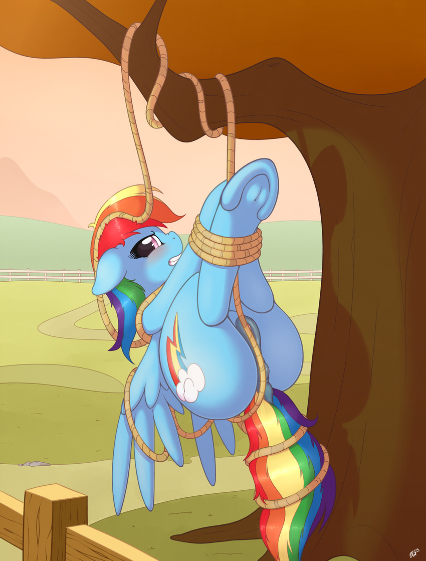 2015 absurd_res blush bound cutie_mark dock equine female fence feral friendship_is_magic hair hi_res hooves looking_at_viewer mammal multicolored_hair my_little_pony outside pegasus pussy rainbow_dash_(mlp) rainbow_hair ratofdrawn restrained rope solo tree underhoof wings
