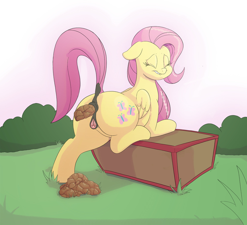 anus box butt clitoris cloud cutie_mark equine eyes_closed feathered_wings feathers feces female feral fluttershy_(mlp) friendship_is_magic gaping hair hooves long_hair mammal my_little_pony nokemop outside pegasus pink_hair pooping presenting pussy raised_tail rear_view scat sky smile solo wings