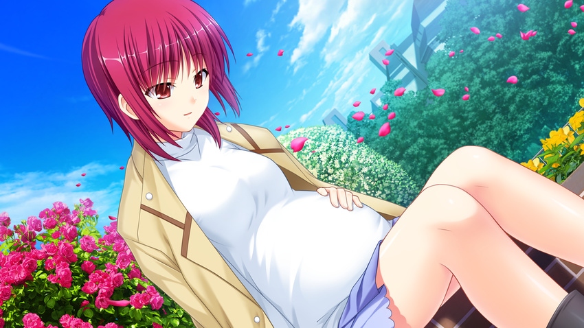 angel_beats! boots building cloud day dutch_angle flower game_cg hand_on_own_stomach iwasawa jacket na-ga official_art open_clothes open_jacket outdoors park petals pink_hair pregnant red_eyes rose scenery short_hair sitting skirt sky solo